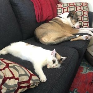 Meet your Posher, Lucky